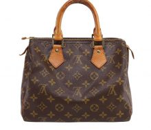 LOUIS VUITTON_M41528